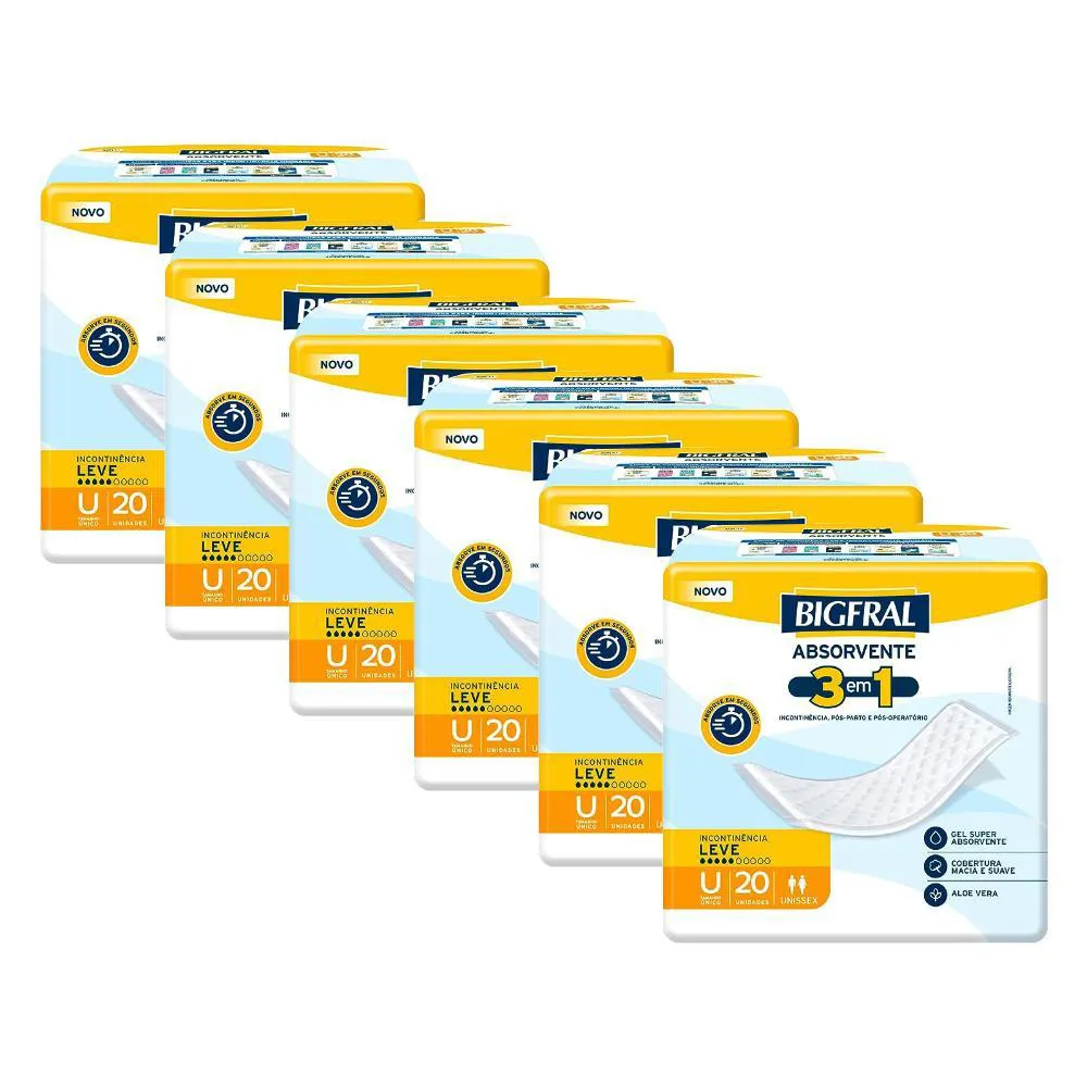 Kit 6 Absorventes Geriátricos Bigfral Regular Plus 20un Cada
