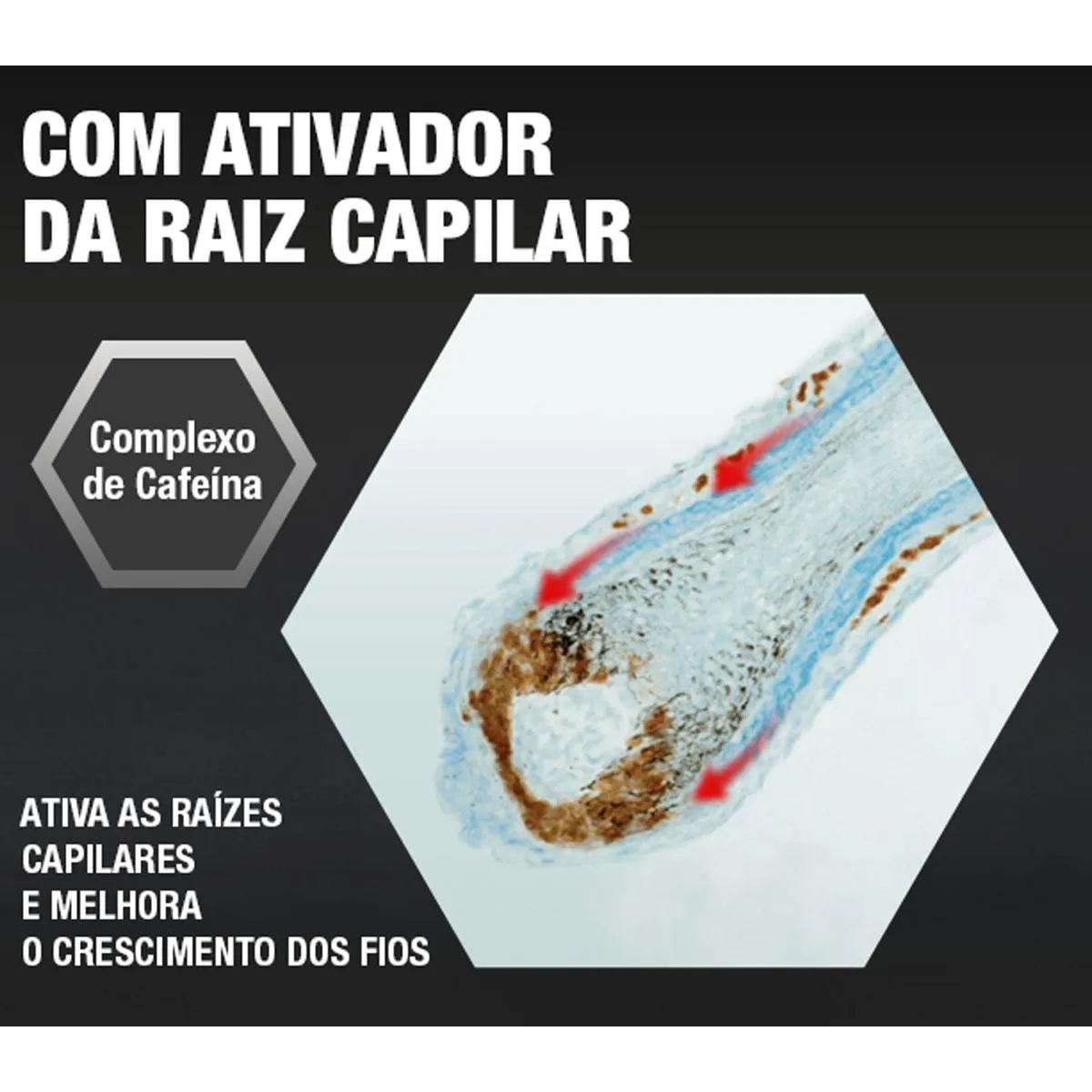Kit Tônico Capilar Alpecin Caffeine Liquid 200ml 2 unidades