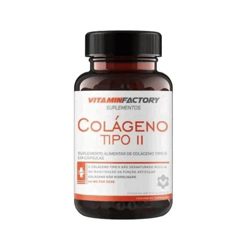 Colágeno Tipo Ii (60 cápsulas) - Padrão: Único