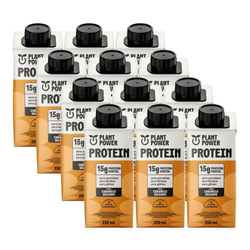 12x Bebida Vegetal 15g Protein Plant Power Caramelo Salgado 250ml