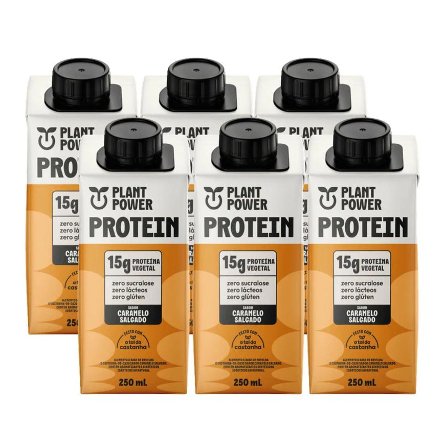 6x Bebida Vegetal 15g Protein Plant Power Caramelo Salgado 250ml