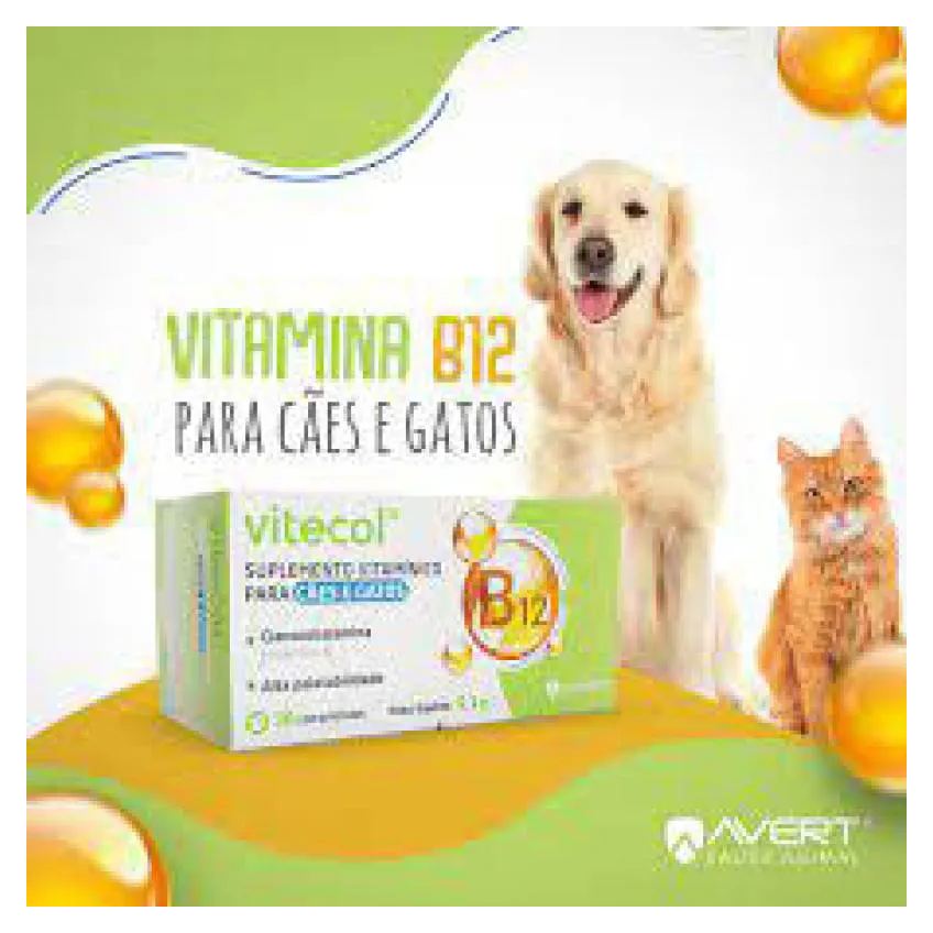 Suplemento Vitamínico Vitecol B12 com 30 Comprimidos para Cães e Gatos