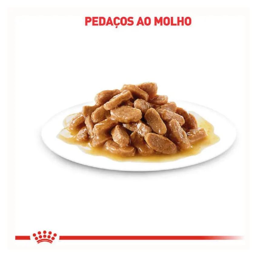 Kit 3 Sachê Royal Canin Hairball Bola Pelo Gato Adult 3X85Gr