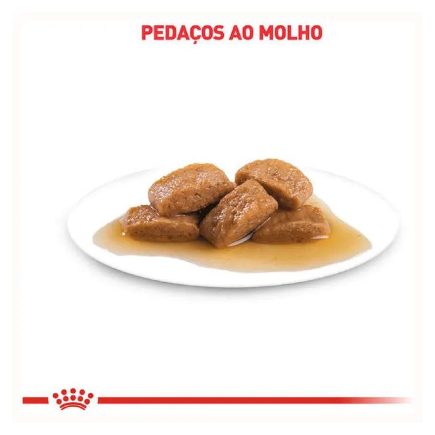 Kit 3 Sachê Royal Canin V.diet Urinary S/O Gato Adulto 85Gr
