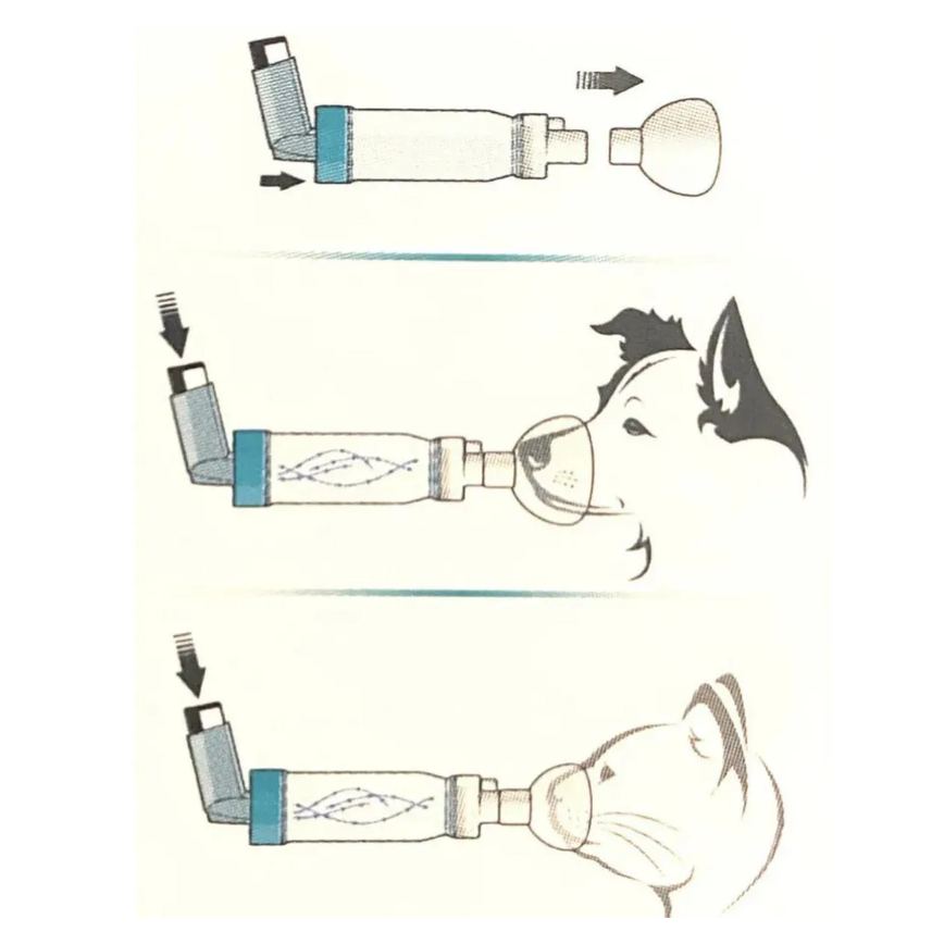 Espacador Agachamber Veterinario M/G - Cães e Gatos - Agpmed