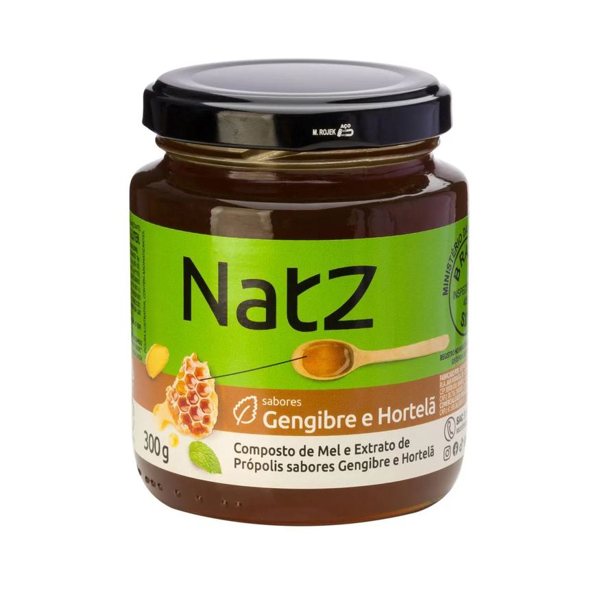 Composto de Mel e Própolis Natz Gengibre e Hortelã 300g