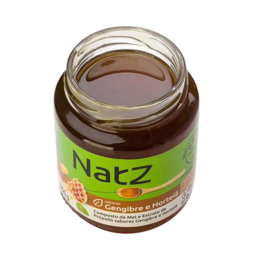 Composto de Mel e Própolis Natz Gengibre e Hortelã 300g