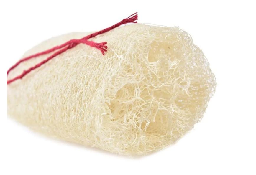 Bucha Vegtal Pedaco Isabrasil C/ Cordao Cod: 003-4